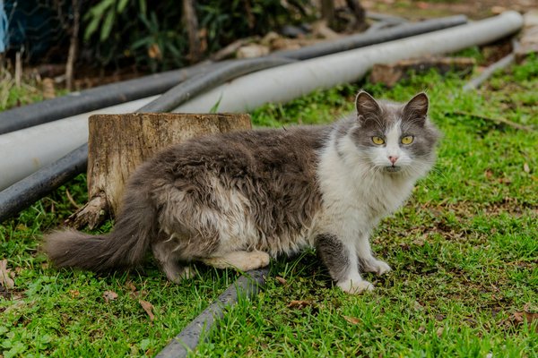 Libeedo : guide des plaisirs naturels pour couples épanouis